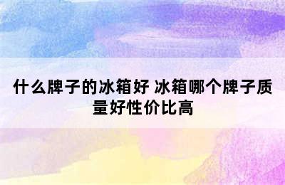 什么牌子的冰箱好 冰箱哪个牌子质量好性价比高